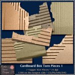 Cardboard Box Torn Pieces 1 CU -TS