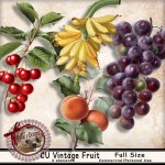 DC_CU Vintage Fruit