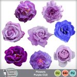 Flowers Purple CU2