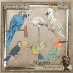 CU Hand Drawn - For the love of Exotic Birds Clipart 4