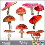 Mushrooms Red CU1
