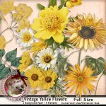 DC_CU Vintage Yellow Flowers