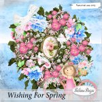 Wishing For Spring