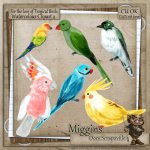CU Hand Drawn - For the love of Exotic Birds Clipart 2