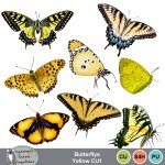 Butterflys Yellow CU1