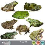 Frog CU1