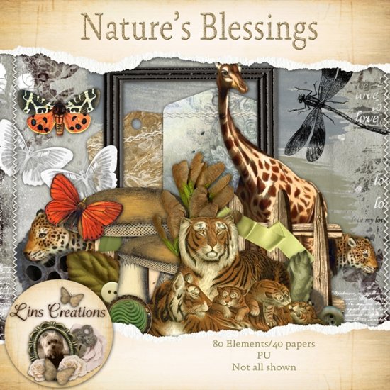 Nature's Blessing - Click Image to Close