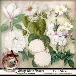 DC_CU Vintage White Flowers