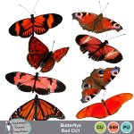 Butterflys Red CU1