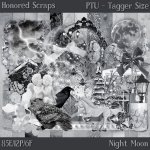 Night Moon - Tagger