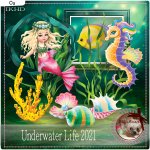 DC_CU Underwater Life