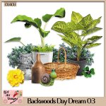 Backwoods Day Dream 03 - CU4CU