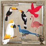 CU Hand Drawn - For the love of Exotic Birds Clipart 5