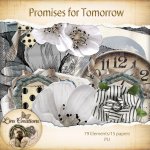 Promises for tomorrow