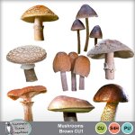 Mushrooms Brown CU1