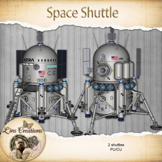 Space shuttle - Click Image to Close