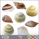 Shells CU1