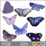 Butterflys Purple CU1