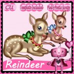 Reindeer Two Script