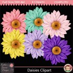 Daisies Clipart - CU