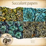 Succalant papers
