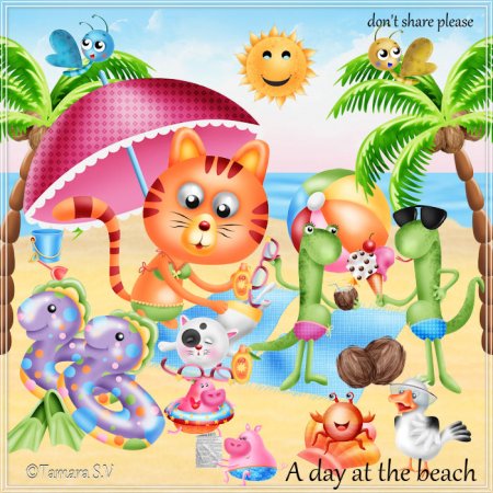 A Day At The Beach
