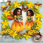 DC_CU Summer Fairies