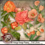 DC_CU Orange Vintage Flowers