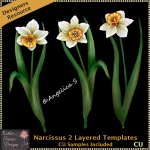 Narcissus 2 Layered Templates CU