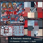 A Patriotic America - TS