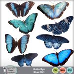 Butterflys Blue CU1