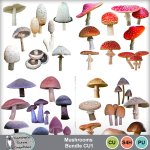 Mushrooms Bundle CU1