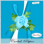 Blue Curled Paper By Bellisima Designs
