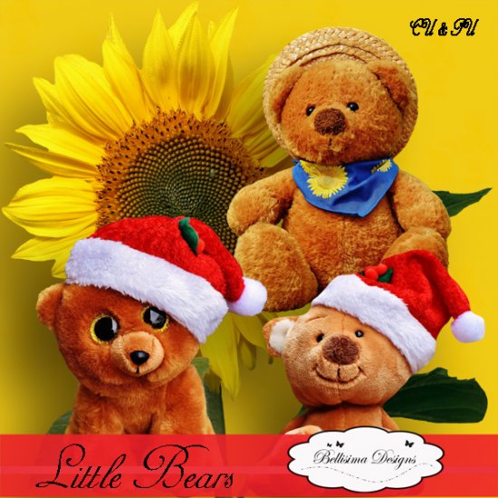 Little Bears - Click Image to Close