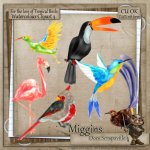 CU Hand Drawn - For the love of Exotic Birds Clipart 3