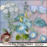 DC_CU Blue Vintage Flowers Clipart