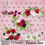 Forever love clusters
