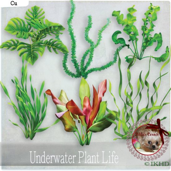 DC_CU Underwater Plants - Click Image to Close
