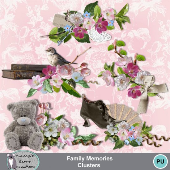 Family Memories clusters - Click Image to Close