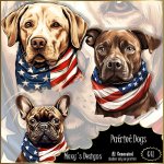 AI - Patriot Dogs
