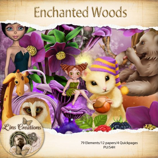 Enchanted woods - Click Image to Close