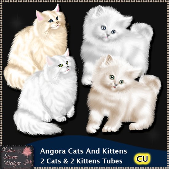 Angora Cats And Kittens CU - Click Image to Close