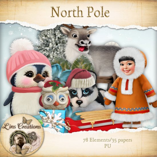 North Pole - Click Image to Close
