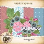 Friendship mini