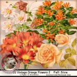 DC_CU Orange Vintage Flowers 2