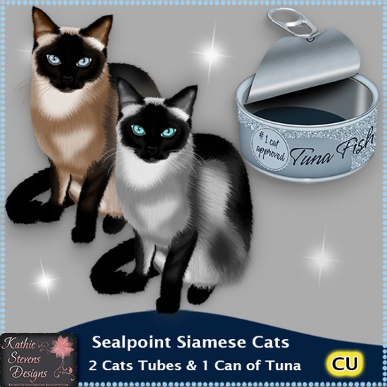 Sealpoint Siamese Cats CU - Click Image to Close