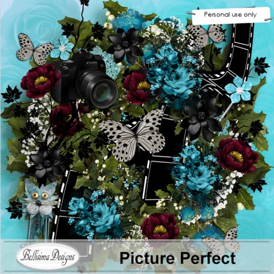 Picture Perfect - Click Image to Close