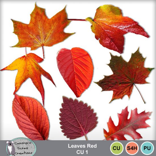 Leaves Red CU1 - Click Image to Close