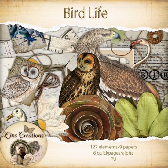 Bird Life - Click Image to Close