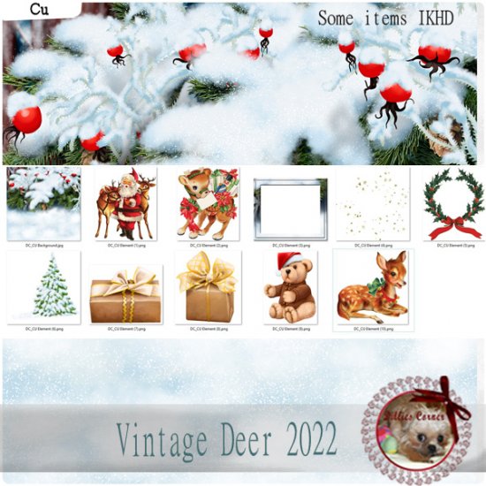 DC_CU Vintage Deer 2022 - Click Image to Close